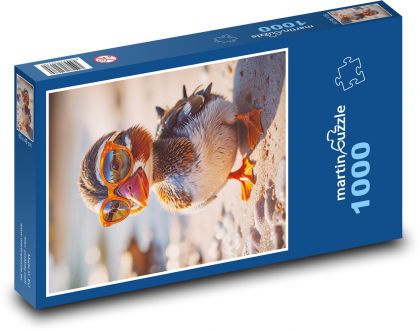 Duck in glasses - Puzzle 1000 pieces, size 60x46 cm 