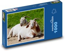 Domestic goats Puzzle 1000 pieces - 60 x 46 cm 