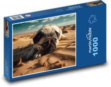 Roztomilý mops v poušti Puzzle 1000 - 60x46 cm