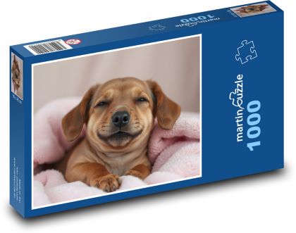 Smejúci sa pes - Puzzle 1000 dielikov, rozmer 60x46 cm
