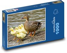 Kačica a káčatko Puzzle 1000 dielikov - 60 x 46 cm 