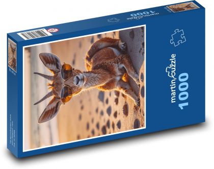 Gazela - Puzzle 1000 dílků, rozměr 60x46 cm