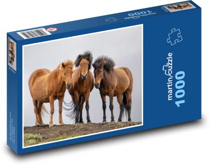 Islandský kôň - Puzzle 1000 dielikov, rozmer 60x46 cm