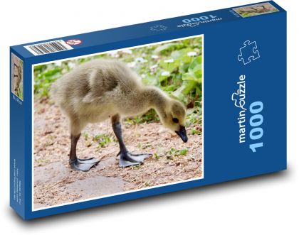 Kanadische Gans - Puzzle - 1000 Teile