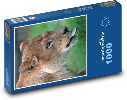 Levica - Puzzle 1000 dielikov, rozmer 60x46 cm