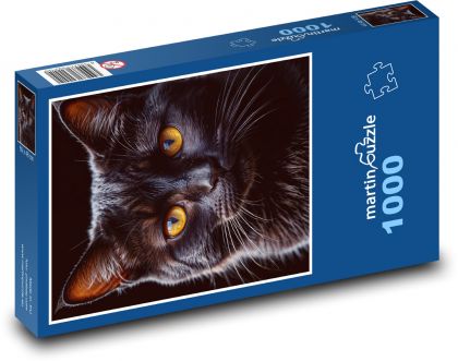 Černá kočka - Puzzle 1000 dílků, rozměr 60x46 cm