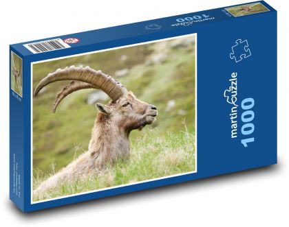 Kozorožec - Puzzle 1000 dílků, rozměr 60x46 cm
