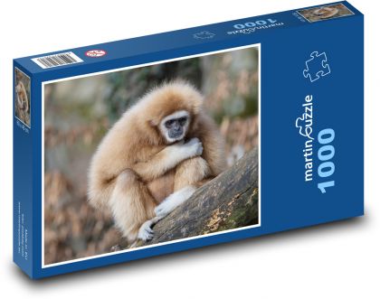 Gibon - małpy - Puzzle 1000 elementów, rozmiar 60x46 cm