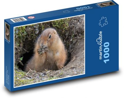 Sysel - Puzzle 1000 elementów, rozmiar 60x46 cm