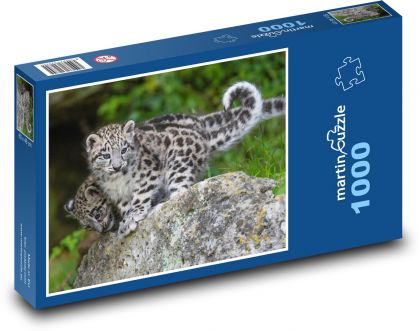 Mláďata levharta - puzzle 1000 dílků