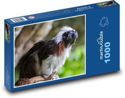 Małpy - Puzzle 1000 elementów, rozmiar 60x46 cm