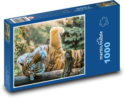 Tygr - Puzzle 1000 dílků, rozměr 60x46 cm
