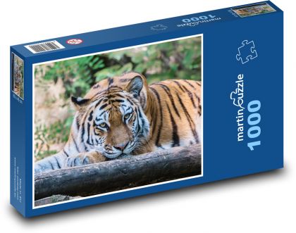 Jungle King: Tiger - Puzzle 1000 dielikov, rozmer 60x46 cm
