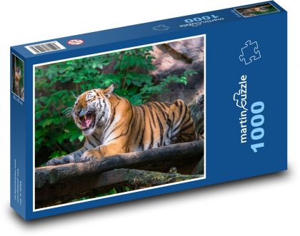 Tygrys - Puzzle 1000 elementów, rozmiar 60x46 cm