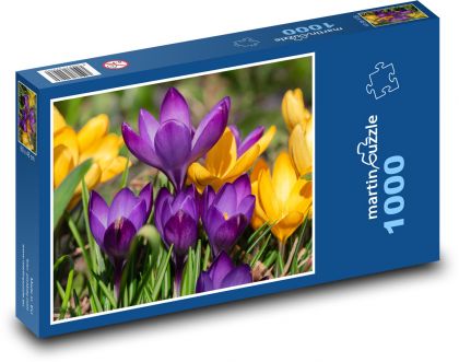 Krokusy - Puzzle 1000 dielikov, rozmer 60x46 cm