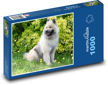 Dog - Pet - Puzzle 1000 pieces, size 60x46 cm 