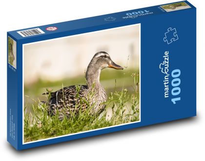 Kachna v trávě - puzzle 1000 dílků