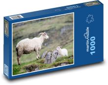 Schaf Puzzle 1000 Teile - 60 x 46 cm