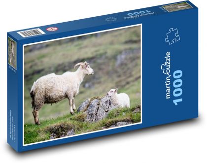 Schaf - Puzzle - 1000 Teile