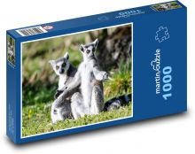 Lemur Puzzle 1000 dílků - 60 x 46 cm
