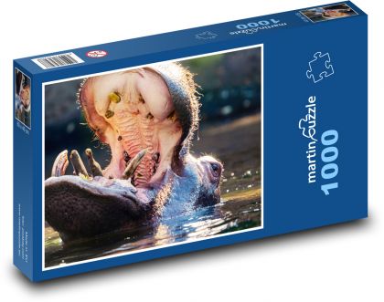 Hippo in water with open mouth - Puzzle 1000 pieces, size 60x46 cm 