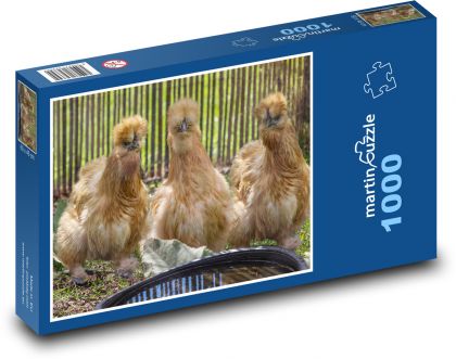 THE LIFE OF CHICKENS - Puzzle 1000 pieces, size 60x46 cm 