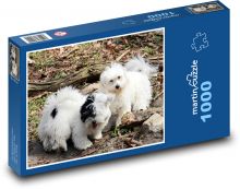 Roztomilí chlupatí pejsci Puzzle 1000 - 60x46 cm