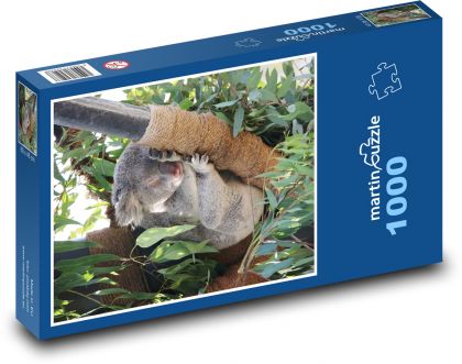 Schlafende Koalas - Puzzle - 1000 Teile