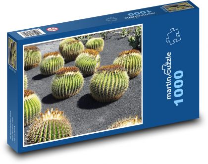 Kaktusgarten - Lanzarote - Puzzle - 1000 Teile
