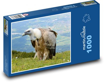 Geier - Puzzle - 1000 Teile