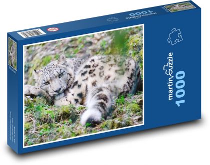 Odpočívajúci leopard - Puzzle 1000 dielikov, rozmer 60x46 cm