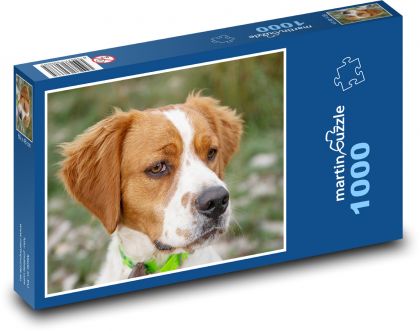 Pes - puzzle 1000 dílků