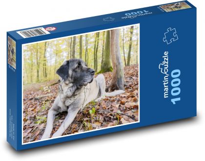 Ein Hund im Wald - Puzzle - 1000 Teile