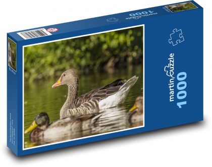 Gänse auf dem See - Puzzle - 1000 Teile