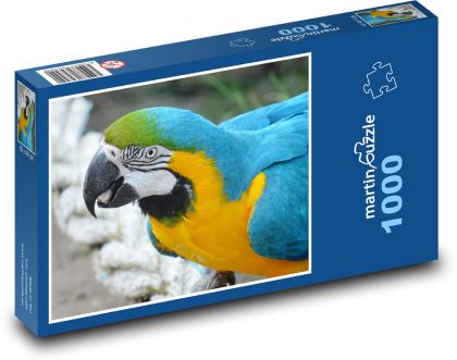 Parrot Ara - Puzzle 1000 pieces, size 60x46 cm 