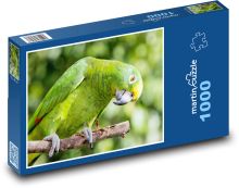 Papoušek - Amazon žlutokorunný Puzzle 1000 - 60x46 cm