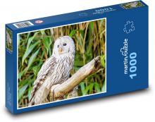 Bílá sova na větvi Puzzle 1000 dílků - 60 x 46 cm
