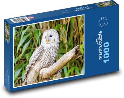 Biela sova - Puzzle 1000 dielikov, rozmer 60x46 cm