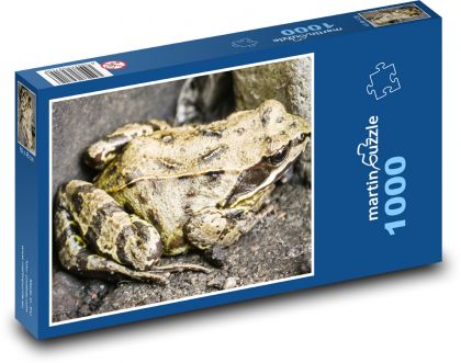 Kröte - Puzzle - 1000 Teile