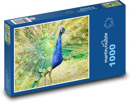Pfau. - Puzzle - 1000 Teile