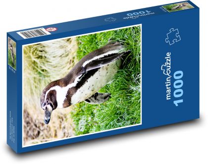 Pinguin. - Puzzle - 1000 Teile