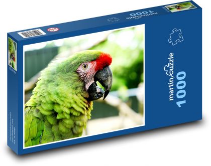 Papagáj - Puzzle 1000 dielikov, rozmer 60x46 cm
