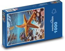 Hviezdice v mori Puzzle 1000 dielikov - 60 x 46 cm 