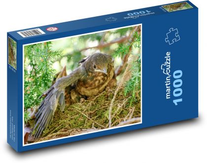 Kosa pisklę - Puzzle 1000 elementów, rozmiar 60x46 cm