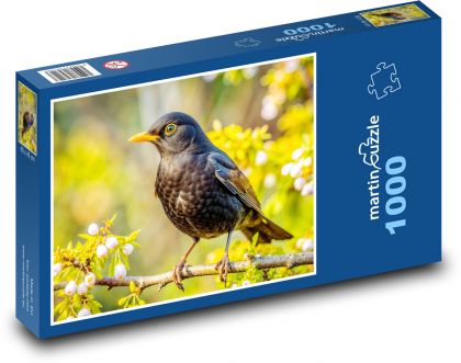 Blackbird - Puzzle 1000 pieces, size 60x46 cm 