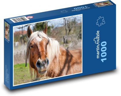 Kůň - Puzzle 1000 dílků, rozměr 60x46 cm