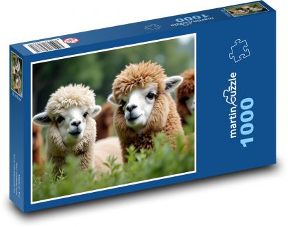 Alpaki - Puzzle 1000 elementów, rozmiar 60x46 cm