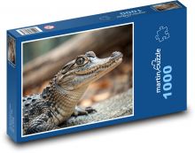 Aligátor Puzzle 1000 dielikov - 60 x 46 cm 