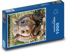 Gürteltier Puzzle 1000 Teile - 60 x 46 cm