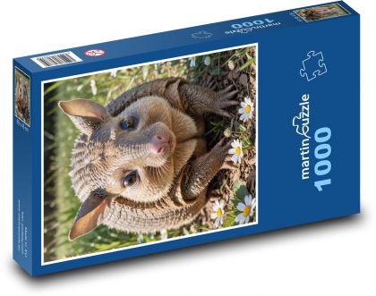 Pancernik - Puzzle 1000 elementów, rozmiar 60x46 cm